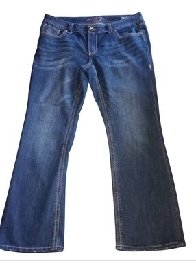 Womens Classic Melissa McCarthy Seven7 Jeans Size 18W